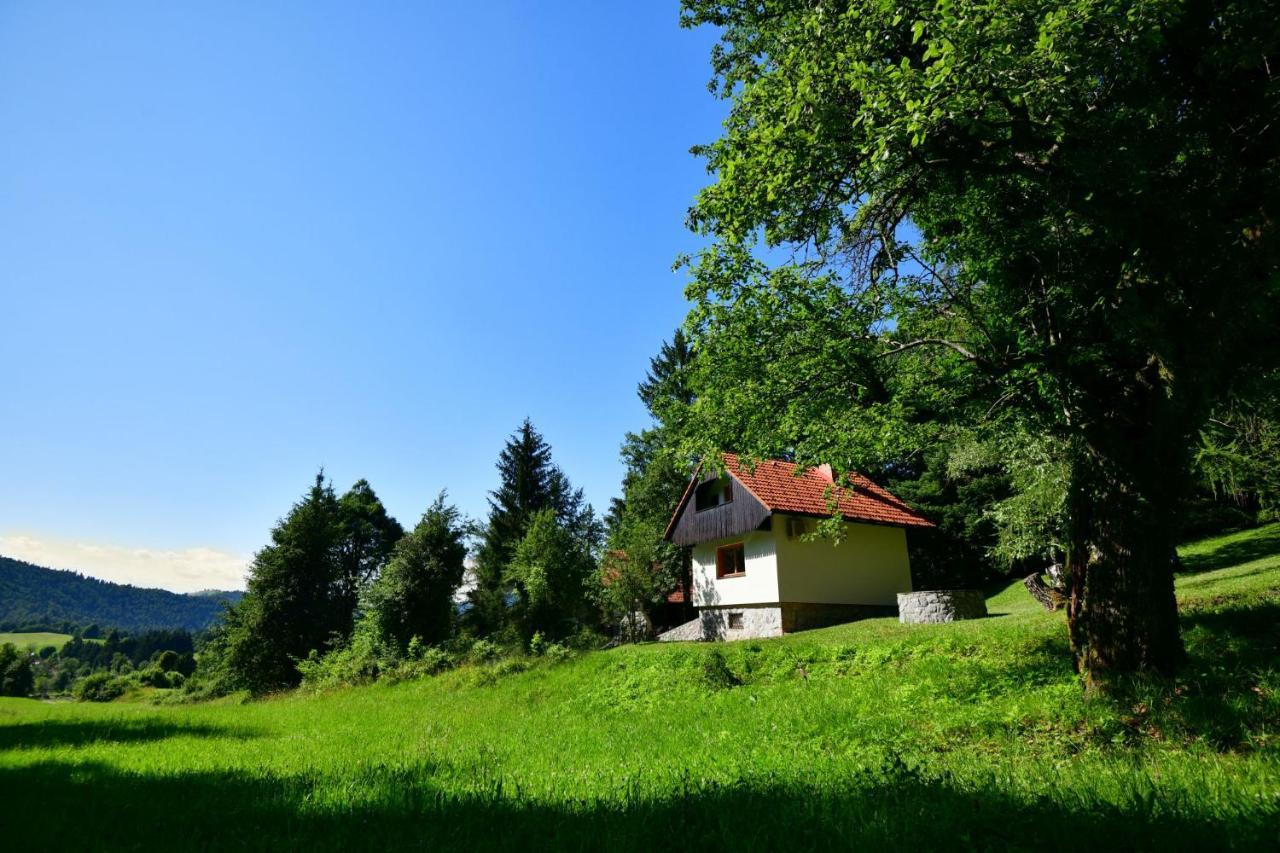 Forest House Villa Vrhnika Exteriör bild