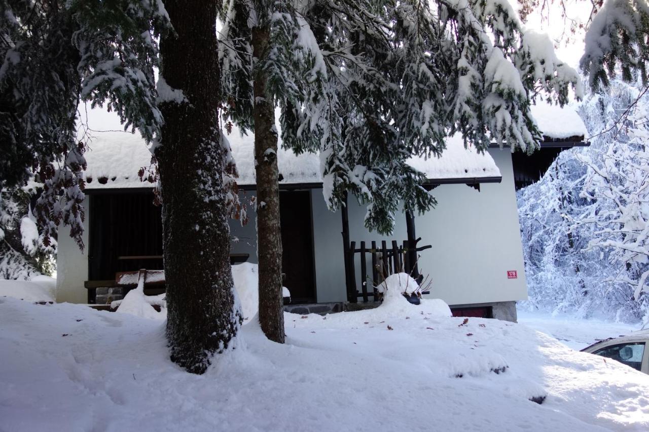 Forest House Villa Vrhnika Exteriör bild