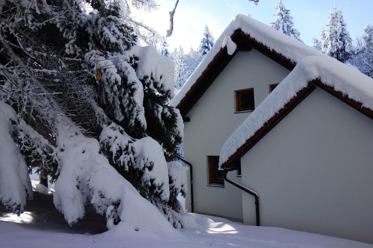 Forest House Villa Vrhnika Exteriör bild