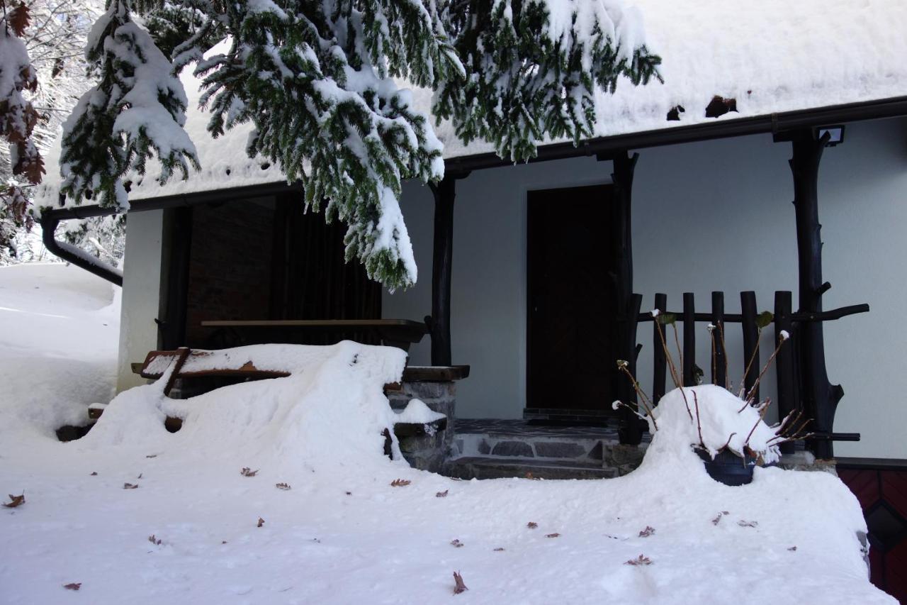 Forest House Villa Vrhnika Exteriör bild
